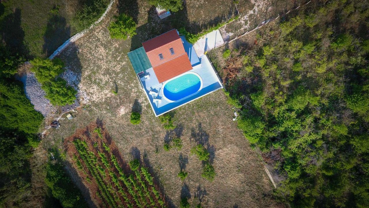 Villa Baras Garden - House With Pool Mirce 外观 照片